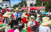 桑植县：银青聚力育新人  实践赋能助振兴