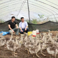 永州祁阳:青春与故乡的双向奔赴