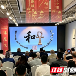 埃及观众点赞“汉字工坊”：“让我们认识了一个有趣的中国”