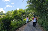 吉首大学学子赴张家界土木溪村开展暑期“三下乡”实践：以专业之笔绘就“野生张家界”生态新篇