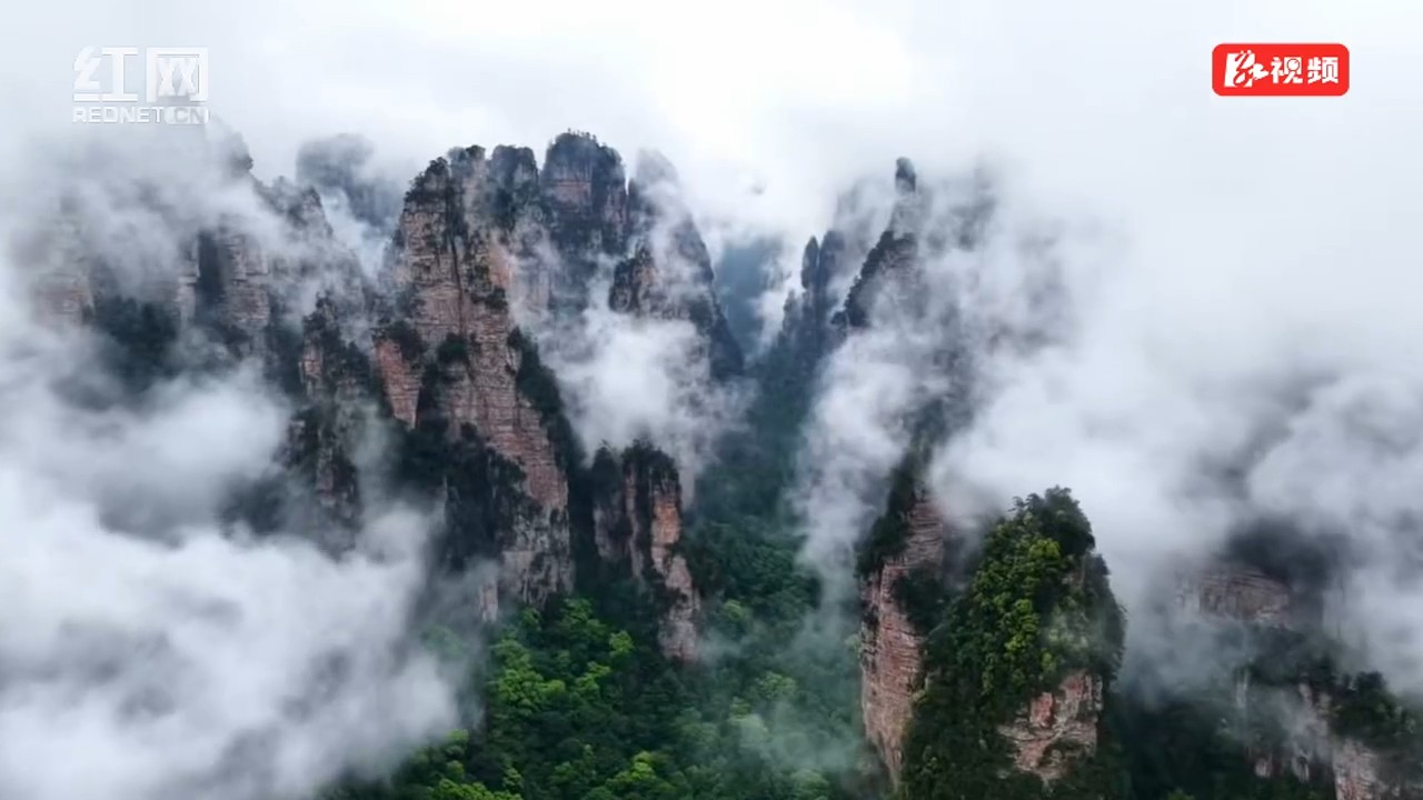 雨后黄石寨，夏日云海入画来