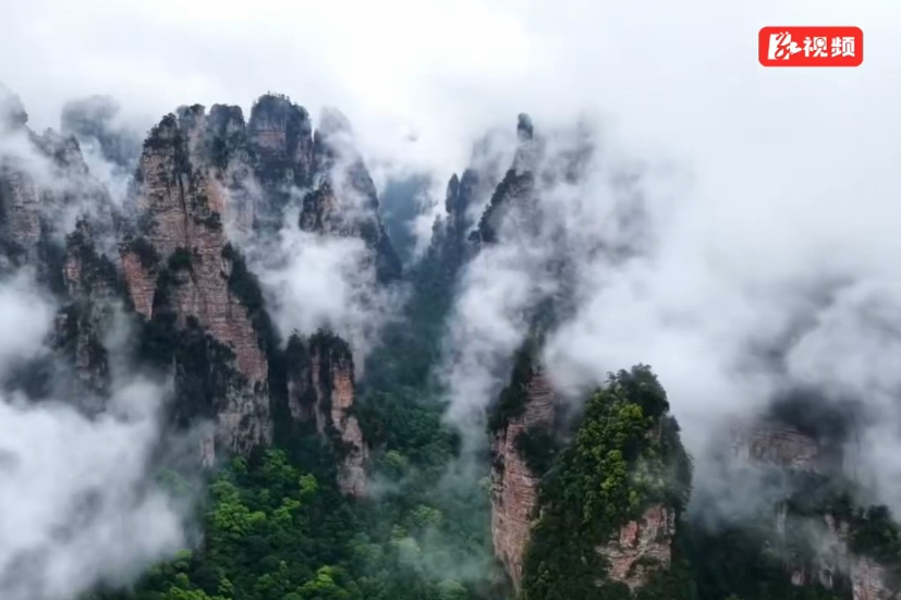 雨后黄石寨，夏日云海入画来