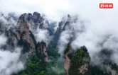 雨后黄石寨，夏日云海入画来