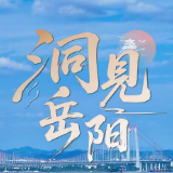洞见岳阳丨让红色基因在青春实践中薪火相传