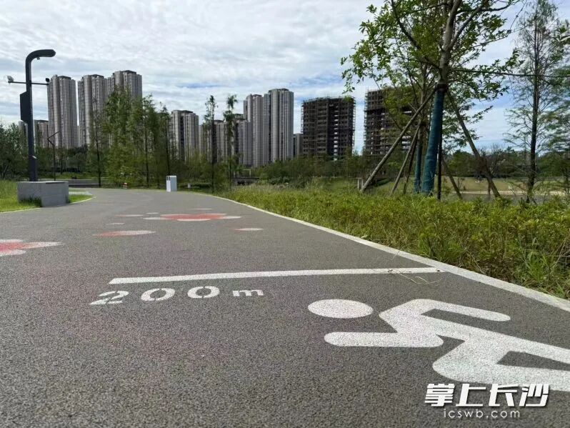 塑胶环湖跑道,脚感格外柔软。长沙晚报全媒体记者 朱泽寰摄 塑胶环湖跑道,脚感格外柔软。长沙晚报全媒体记者 朱泽寰摄