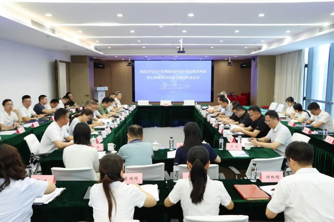 长株潭知识产权保护中心共同体建设纵深推进