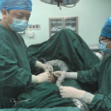 医疗服务提升年丨永州市中心医院:24小时打通“生命线”,日间手术破解尿毒症患者“通路危机”