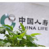 十年覆盖5亿人次!国寿银龄安康工程绘就老年友好新图景