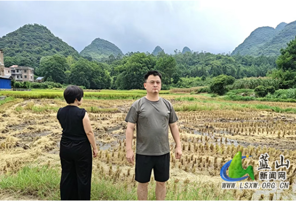 蓝山：党建引领抓农时 凝心聚力推进晚稻生产落地见效