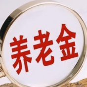 你的养老金又增值了!规模超3.5万亿,投资收益率5.76%