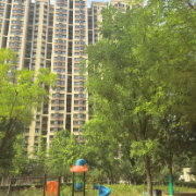 物业主动撤场背后：物业费“收缴难”，小区治理难题怎么破？