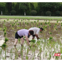 在长征起点 湘潭大学这堂“沾泥带水”的思政课直抵人心