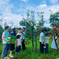 桃源县牛车河镇:种下阅读种子 采摘成长果实