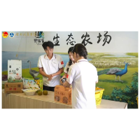 青春直播助农 以专业赋能乡村振兴——湖南信息学院"湖创耘播"实践团赴大通湖区北洲子镇开展专项助农直播