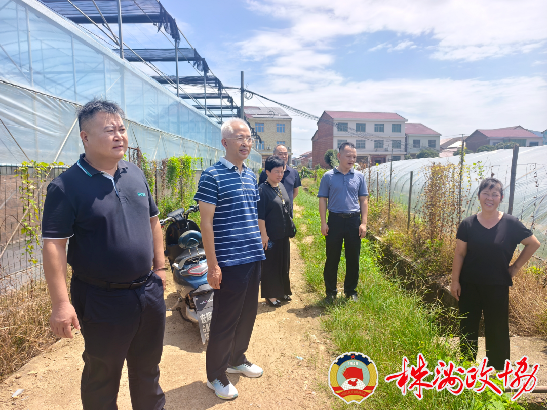 株洲市政协开展重点提案督办系列活动 助力乡村振兴
