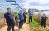 株洲市政协开展重点提案督办系列活动 助力乡村振兴