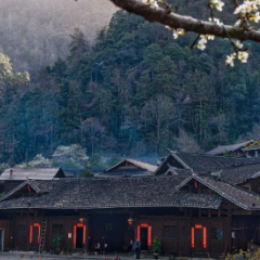 散文丨鲁建文:炊烟回归