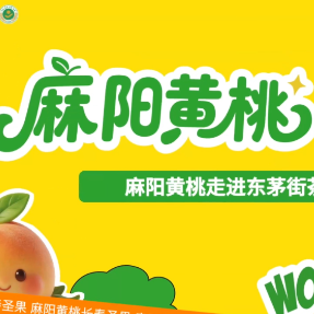 把甜送到市民心头 麻阳黄桃品鉴会走进长沙东茅街茶馆