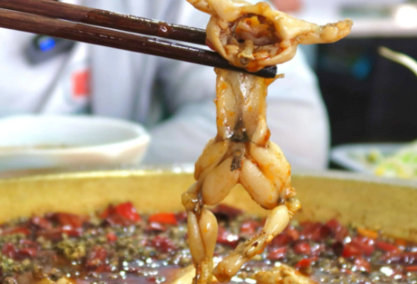 抗生素超标引关注 “问题牛蛙”还能吃吗？专家解答