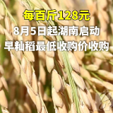 视频 | 每百斤128元 8月5日起湖南启动早籼稻最低收购价收购