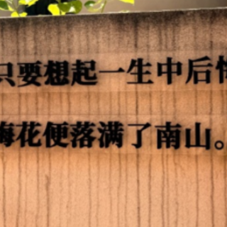 “热”读长沙③丨一山一书一镜,盛夏在麓山邂逅文学浪漫