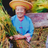 寻找最美田野肖像照丨每一张笑脸,都是丰收的喜悦