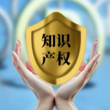 永州市启动第二轮海外知识产权风险排查专项行动