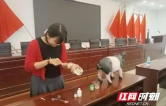保靖县：“猪猪课堂”进乡村 农户学艺双丰收