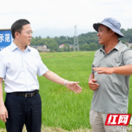 龚红果赴武冈市调研经济社会发展情况