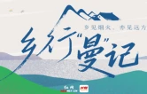 乡行“曼”记丨组图：聂市夏忙 盈盈稻香