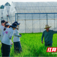 湖南工业大学匠心科创实践队:党建领航乡村振兴路 机械学子田间践初心