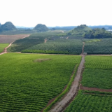 宁远：盘活闲置土地 赋能乡村振兴