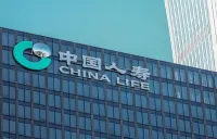复盘寿险头雁个险营销30年进阶：多维加持，打造稳固“基本盘”