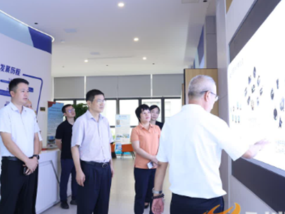 永州丨杨洪峰到有关县区调研