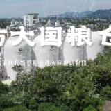 给粮食盖起“蛋壳豪宅” 第四代粮仓在长沙装粮压仓