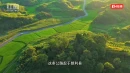 最美乡村旅游路：助力大红岩岭旅游区澧水丹霞两岸三镇联片发展！