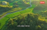 最美乡村旅游路：助力大红岩岭旅游区澧水丹霞两岸三镇联片发展！