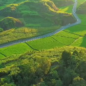 最美乡村旅游路：助力大红岩岭旅游区澧水丹霞两岸三镇联片发展！