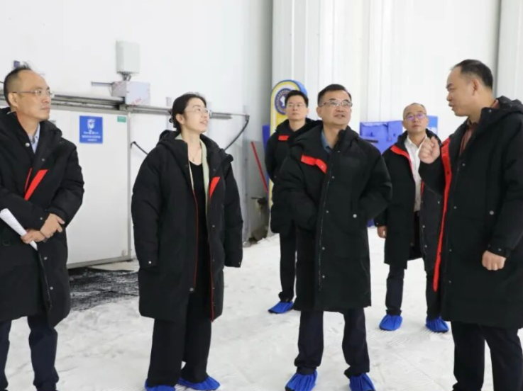 侯毅带队调研文旅项目建设运营工作