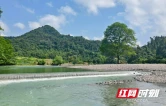 风雨中的“新兵”答卷——记新任捧捧坳社区支书赵翼的防汛实战蜕变