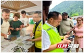 张家界国家森林公园门票站（南门）：贴心服务助外国游客便捷入园