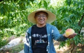 四兄弟三十年种成“花果山”，辰溪万亩黄桃铺就振兴路