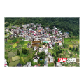 临武县：“一切工作到支部” 汾市镇激活乡村振兴“红色引擎”
