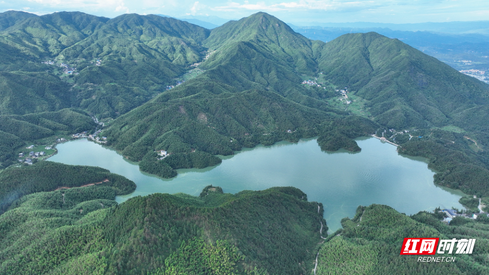 DJI_0981_副本.jpg