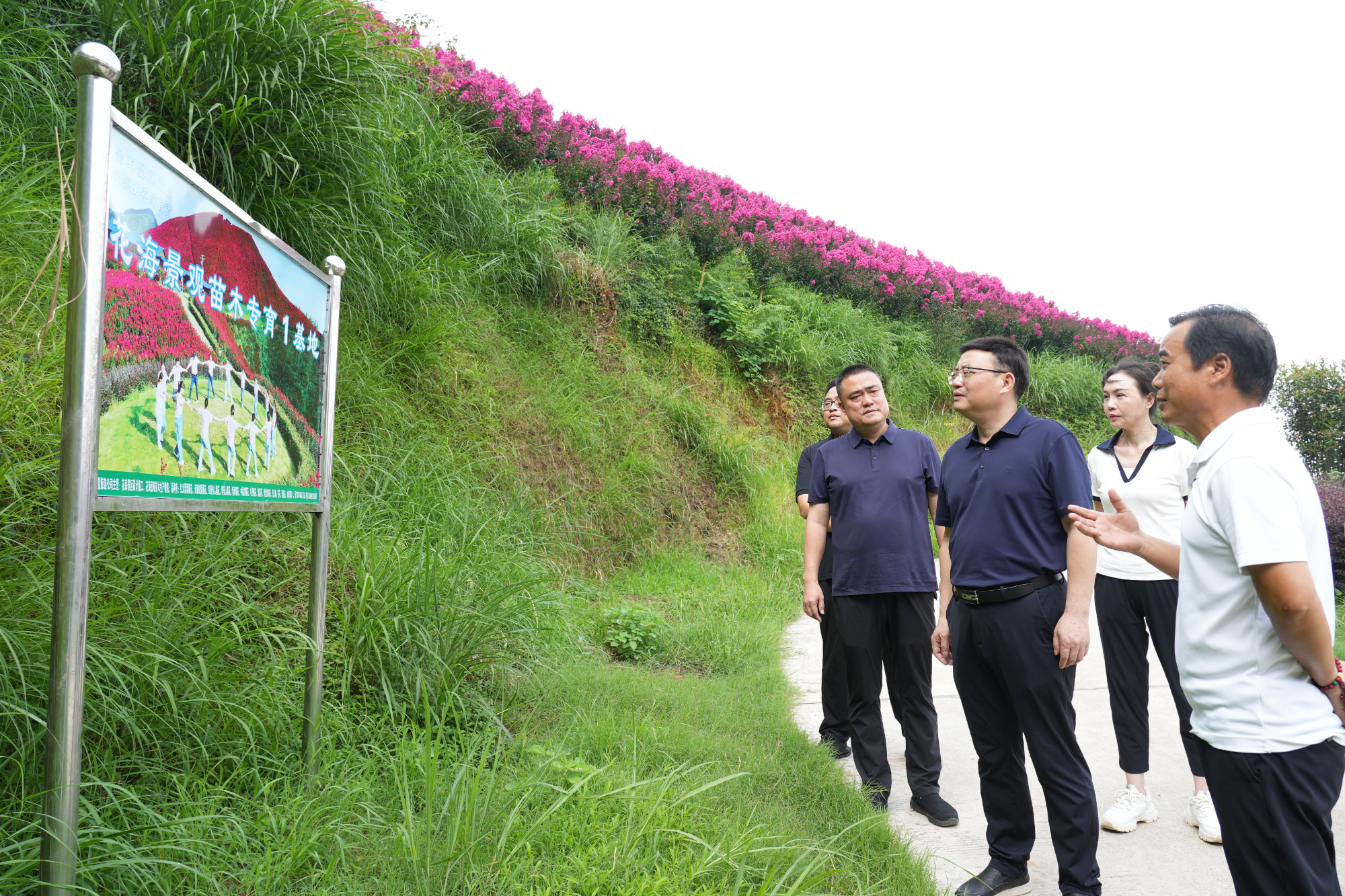 唐龙调研暑期文旅运营、项目建设及防汛安全等工作