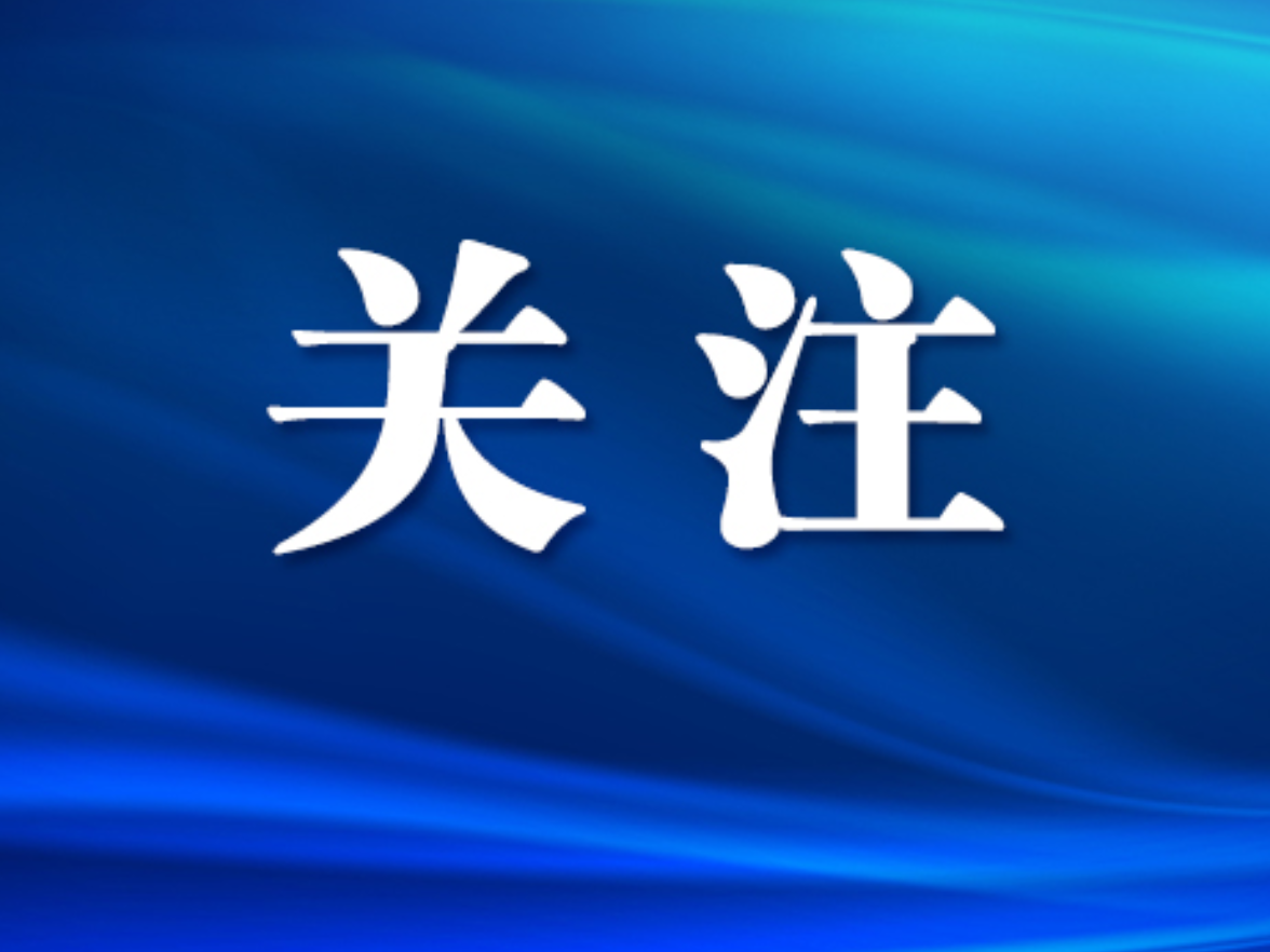 胡珊珊走访调研辖区重点企业