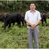 新乡土诗派丨陈惠芳:刘翼平其人其诗