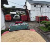 江永:“钱等粮”机制护航夏粮归仓