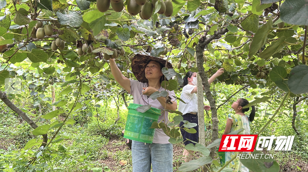 wechat_2026-08-10_165444_364.png