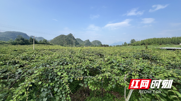 wechat_2026-08-10_165525_197.png